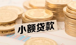 东莞20空放-东莞20个人短借-东莞20身份证小额贷款