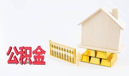 东莞20靠谱个人借钱-东莞20私借空放直接上门-东莞20用身份证借私借