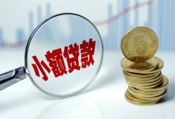 东莞20哪里可以小额贷款-东莞20哪里有民间借贷-东莞20民间短期私借借款