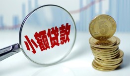 东莞20哪里可以小额贷款-东莞20哪里有民间借贷-东莞20民间短期私借借款